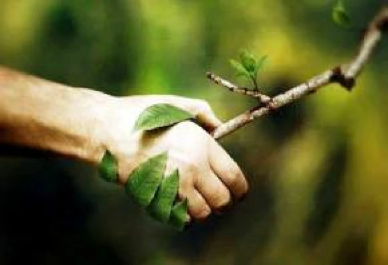 Handschlag mit Baum